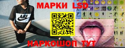гашик Будённовск