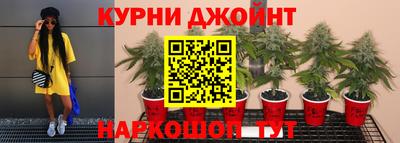 гашик Будённовск