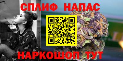 гашик Будённовск