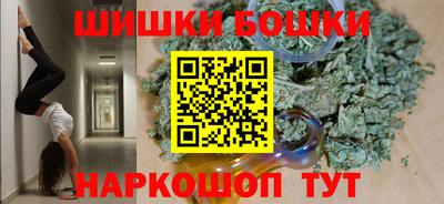 гашик Будённовск