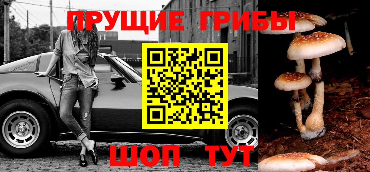 Галлюциногенные грибы GOLDEN TEACHER Михайловск